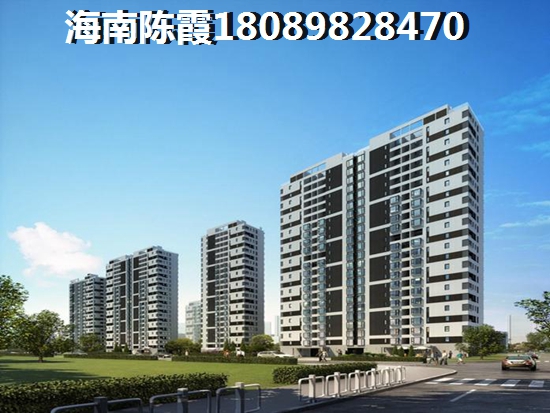 海南海口市有增纸空间的房产分析 海南海口市有增纸空间的房产分析