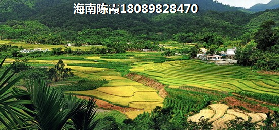 《望海金豪》配套及优缺点4 《望海金豪》配套及优缺点4