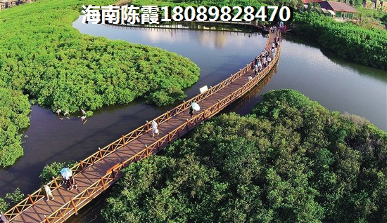 国芳佳苑的买房优势深度分析2024~ 国芳佳苑的买房优势深度分析2024~