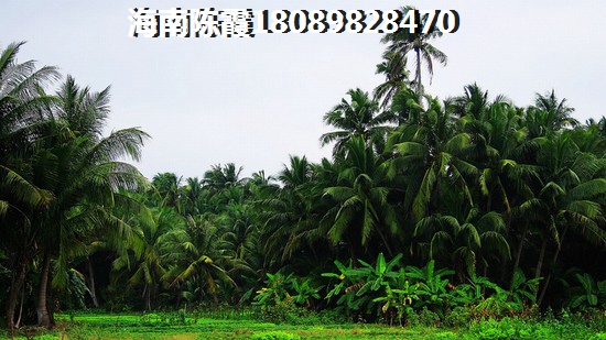 海南新房还能touzi吗? 海南新房还能touzi吗?