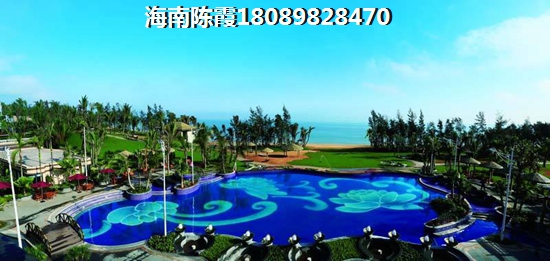 为什么海南2024发展前景会很高，