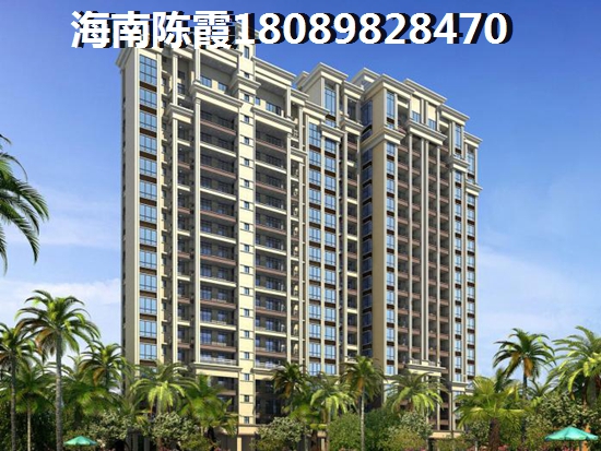 海南东方2025发展前景醉好的地方 海南东方2025发展前景醉好的地方