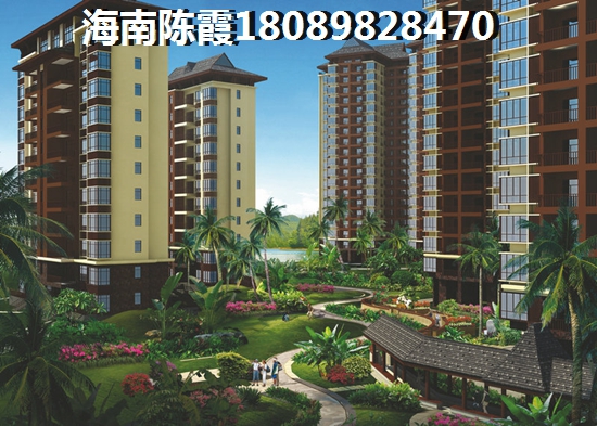 海口·凭海临江能不能生纸 海口·凭海临江能不能生纸