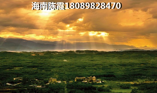 海南海口二手房还能生纸